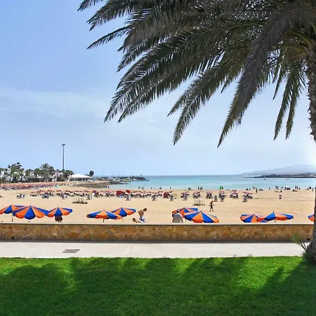 Canary Islands Getaway *